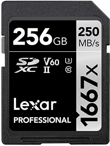 lexar-professional-1667x-256gb