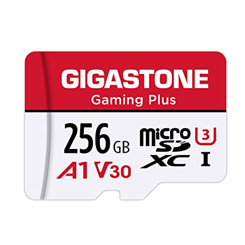 gigastone-256gb-micro-sd