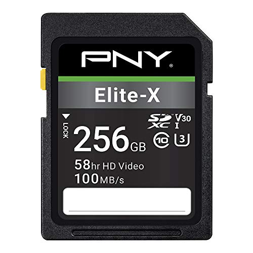 pny-256gb-elite-x