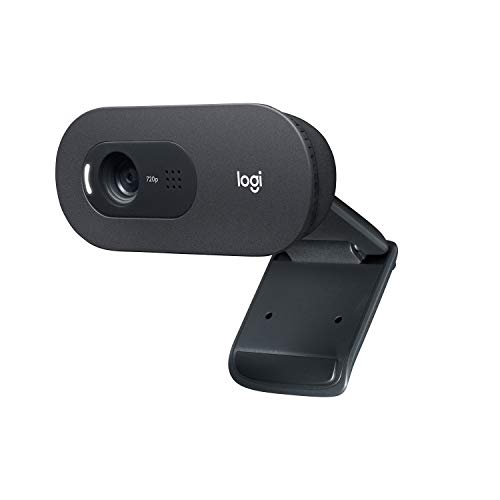 logitech-c505-hd-webcam