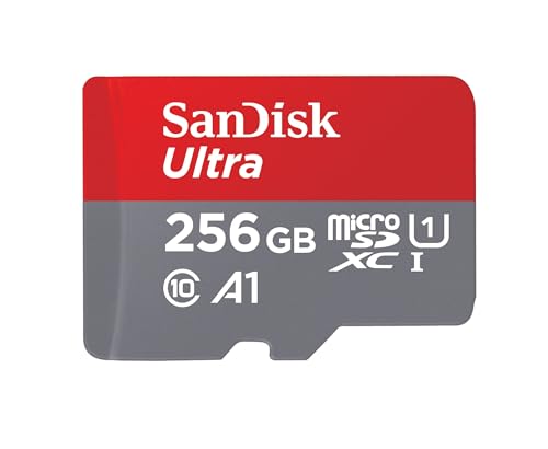 older-version-sandisk-256gb