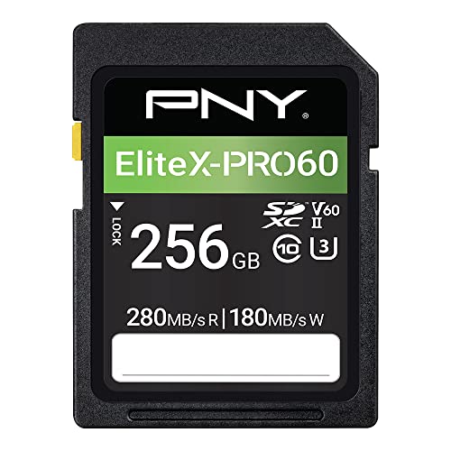 pny-256gb-elitex-pro60